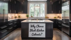 black-cabinets-kitchen